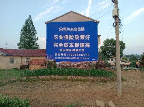 慈利墙体广告为何受追捧？